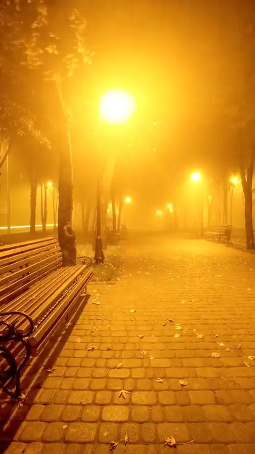 我喜欢夜灯下的温柔喜欢一个人在路灯下安静的坐着路灯多半是暖色的是