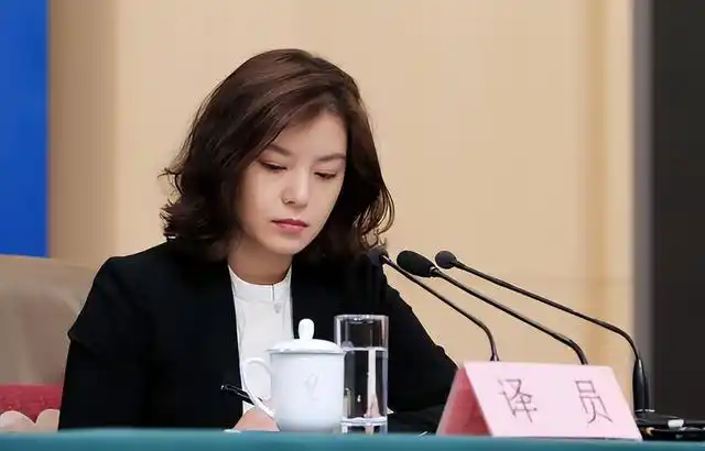 最美翻译官张京会议中铿锵发言震惊全场吊打美方翻译