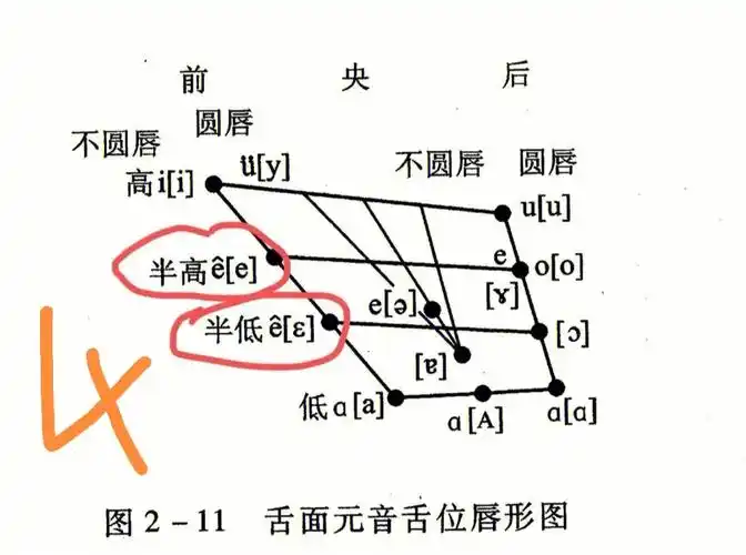 为什么六版现汉舌位图里e[e]没有戴帽?2.