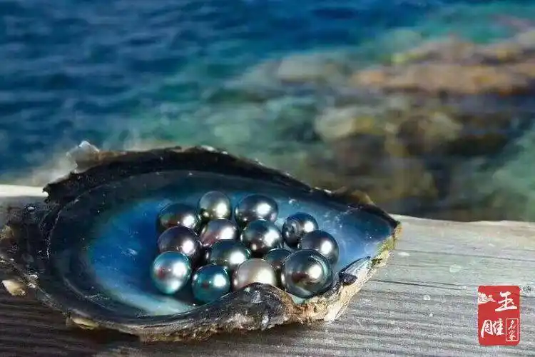 为何大溪地黑珍珠如此昂贵?