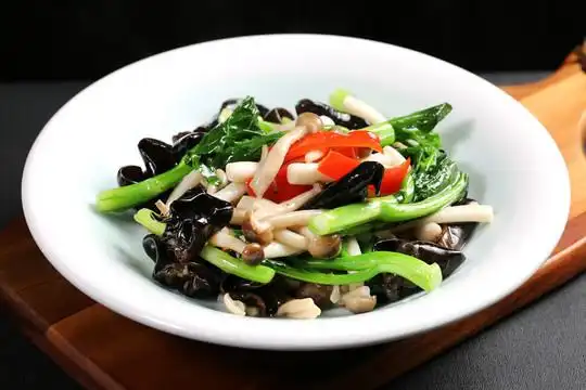 森林小炒图片