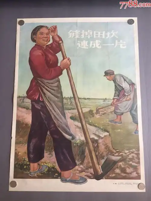 铲掉田坎连成一片