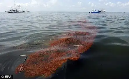 最新卫星照片显示漏油仍在扩散 将至古巴(组图)
