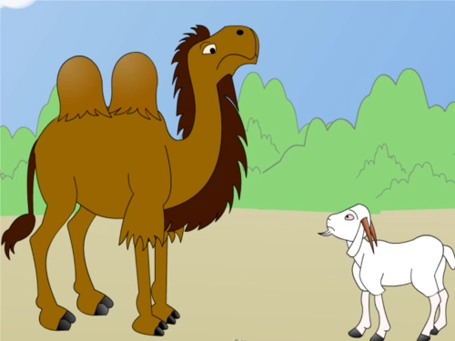 2014春北京版语文二下《骆驼和羊》课件_1.ppt 23页