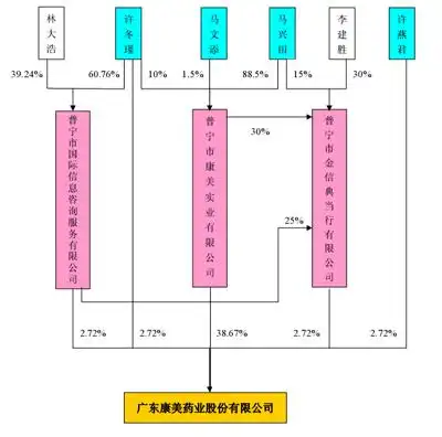 康美药业股票上市简介