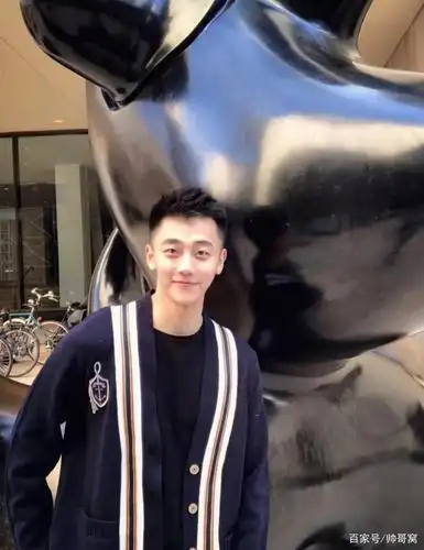 阳光帅气的00后小奶狗颜值高长得好看的男生都这么有气质