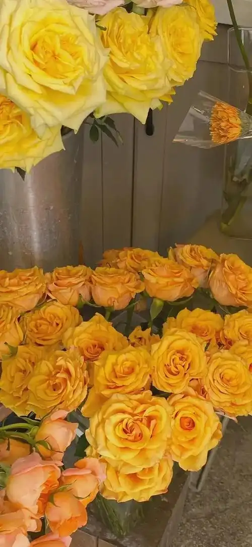 花儿壁纸,在时光里享受温暖,在流年里忘记花开