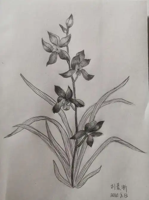 家教美术 - 美篇