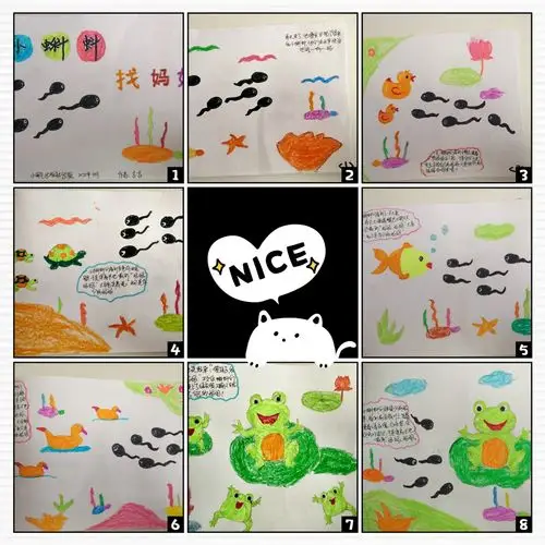 大班 张柠熙《小蝌蚪找妈妈》