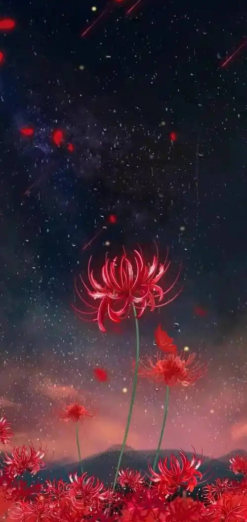 借花献佛分享全屏彼岸花壁纸