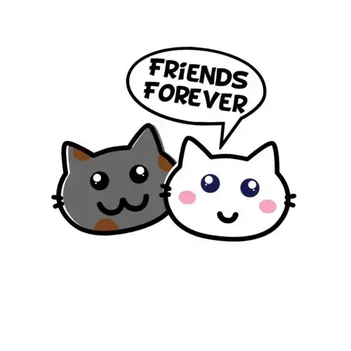 猫小黑和猫小白的故事