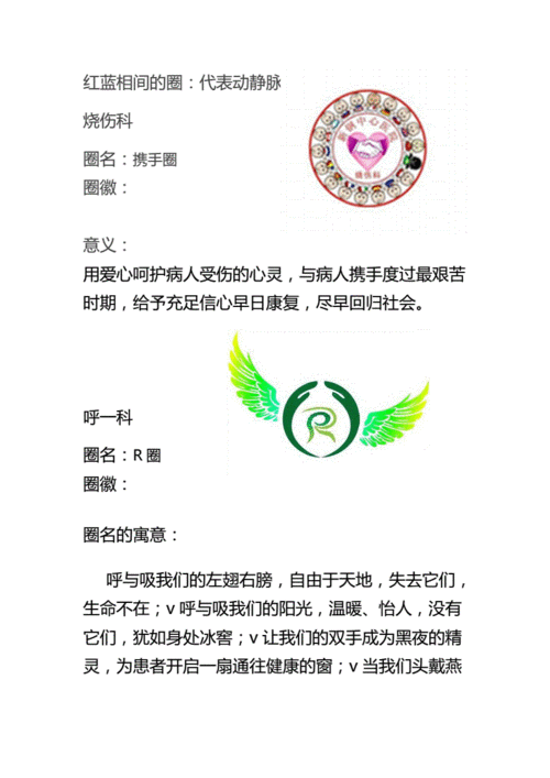 护理品管圈圈徽展示.docx