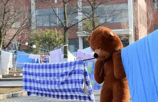 大学生花式晒被子火了创意满分逗笑网友网友表示学到了