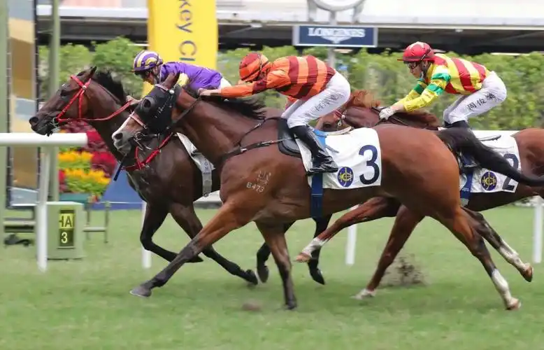 赛马邮报亚洲赛马新闻:香港跑马地"风雷电"初战表现神勇