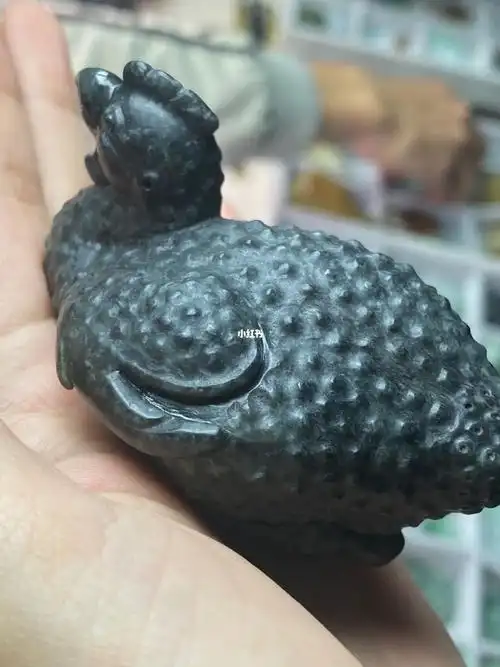 翡翠黑乌鸡的乌鸡笑得我肚子疼哈哈哈