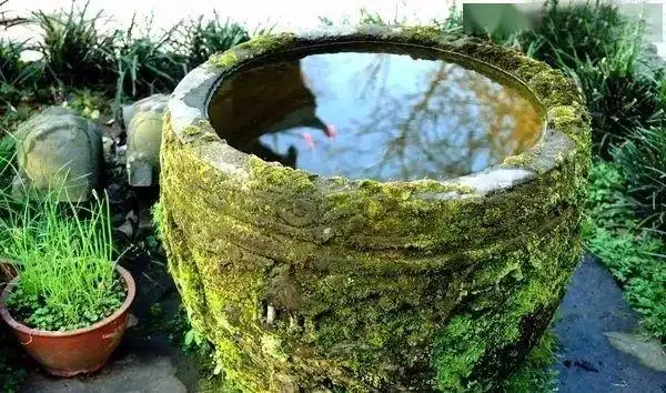 农村的老缸,院子里的故事_水缸