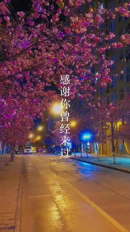 感谢你曾经来过#明知道熬夜不好,却还是经常熬夜,明知道你心里没我