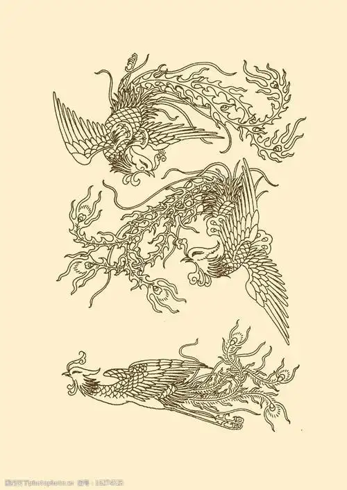 关键词:凤凰纹样 凤凰 凤 凤鸟 传统 纹样 图案 古典 春节 中国风 psd