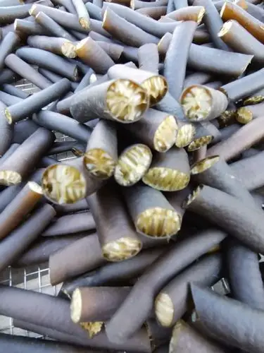 厂家批发欢迎来电 海笋厂家海茸厂家 干海笋 南极冰笋 南极海茸