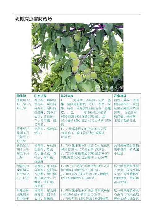 桃树病虫害防治历