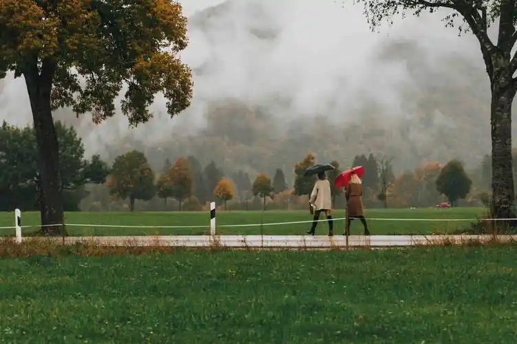 德国阿尔卑斯牧场唯美秋天风景