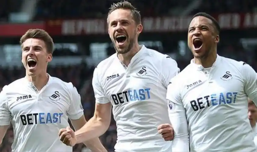 斯旺西城足球俱乐部(1912年成立于威尔士的俱乐部)_尚可名片