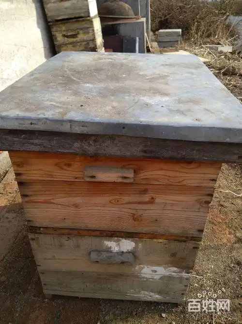 出售二手蜂箱,带隔王板和纱盖. 多买价格便宜.