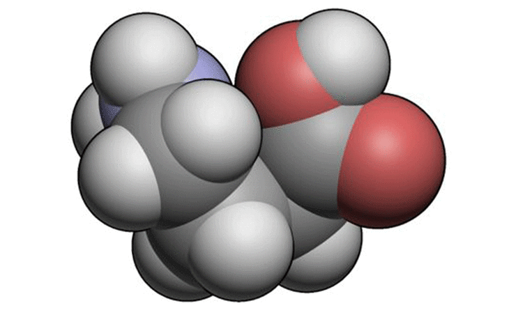 gaba无糖型睡眠软糖 | 一觉到天亮 - 物道生活