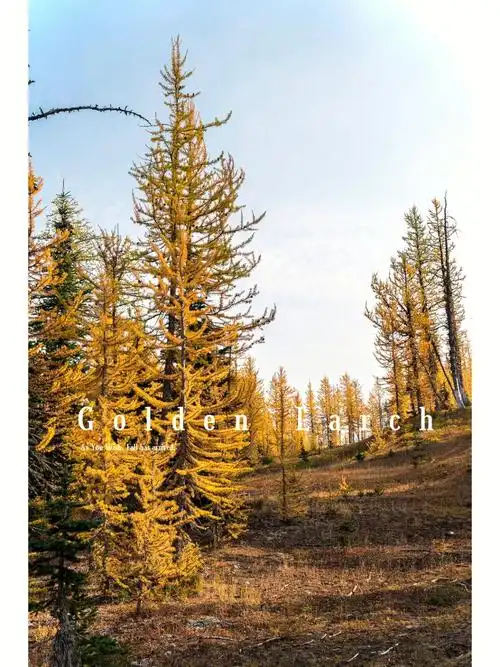 frostymountaintrail温哥华金松徒步路线