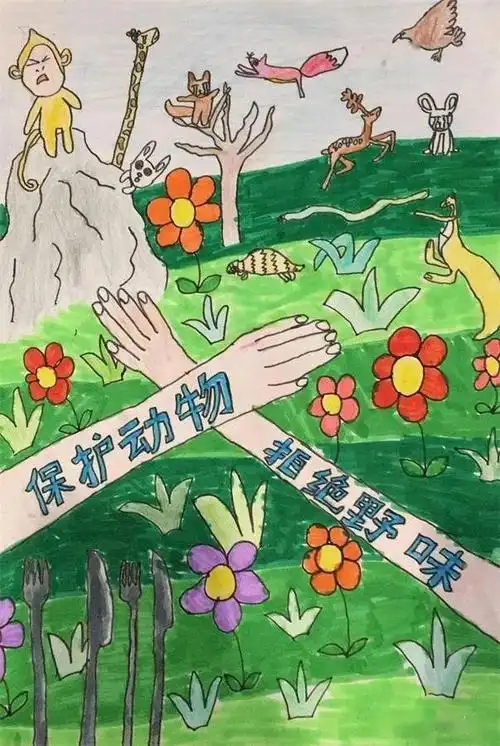 战疫童行画说动物九龙小学参加保护野生动物少儿绘画大赛优秀作品欣赏