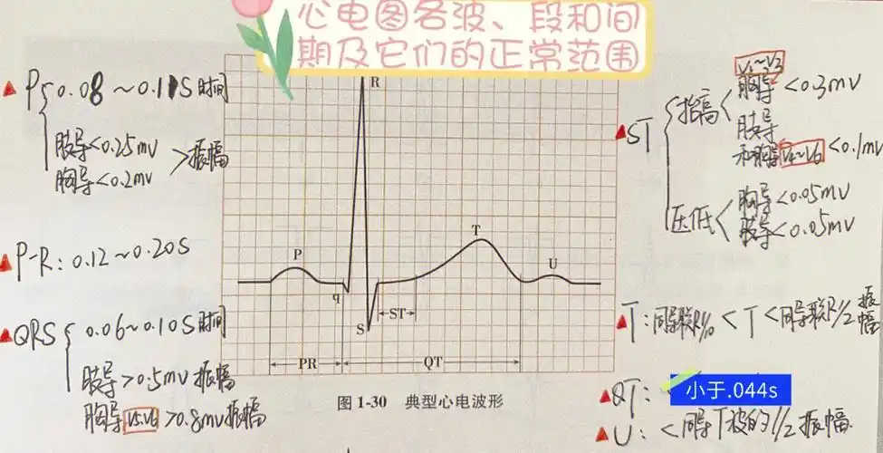 简易心电图二基础