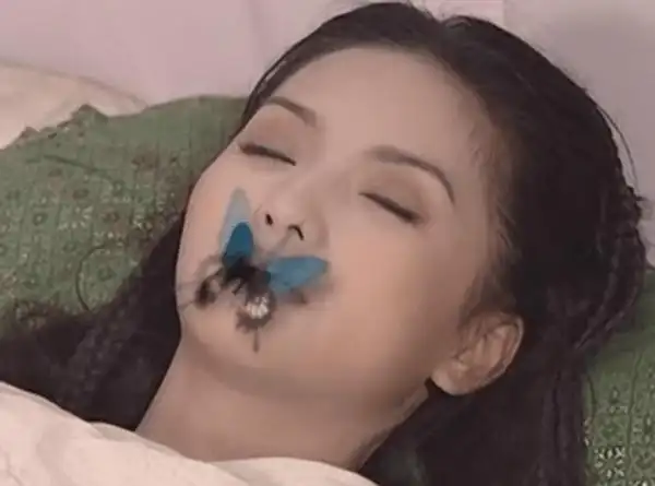 她是还珠格格的香妃25岁香消玉殒这却仅仅是悲剧的开始