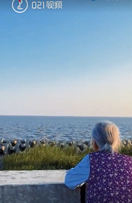 一头银发扎得整整齐齐      这眺望大海的背影      哪里看得出是