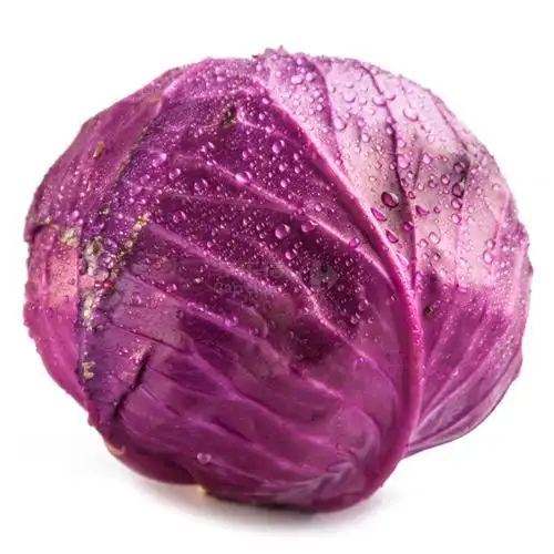 紫甘蓝约600克