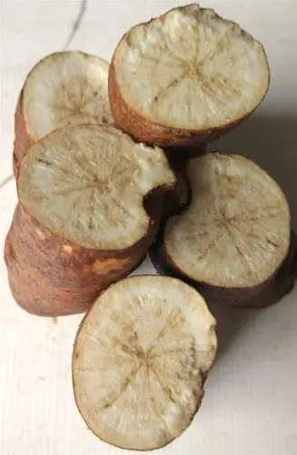 鲜货野生粉防己