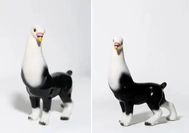 拥有10条腿的宠物狗.