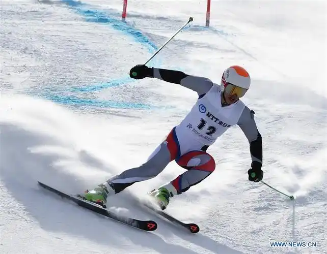 in pics: alpine skiing mens giant slalom at sapporo asian winte