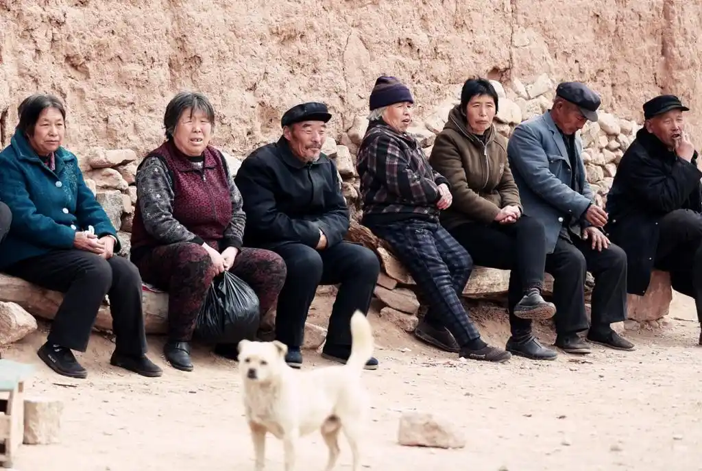 为什么农村老人越来越多?城市老人也有的去农村居住