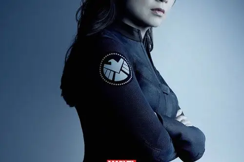 梅琳达·梅简介 库尔森的得力助手,拥有极强的格斗术,擅长驾驶飞机