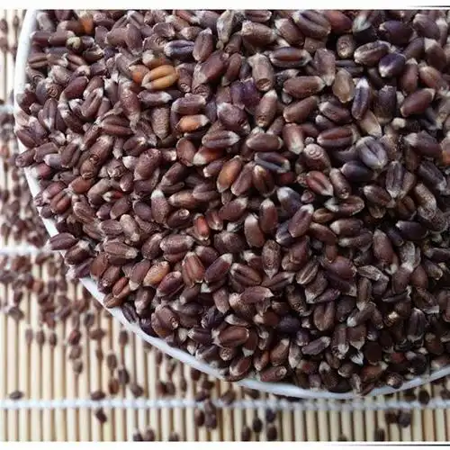 21年农家 黑麦 黑小麦 黑麦米 有绿麦 熬粥 五谷杂粮批发