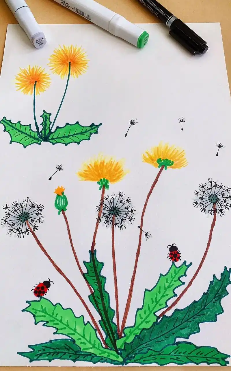 蒲公英儿童简笔画.#蒲公英儿童画 #儿童画 #儿童画教程 # - 抖音