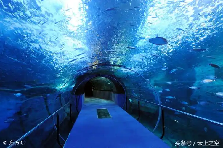 翔安隧道全长多少公里厦门翔安隧道介绍