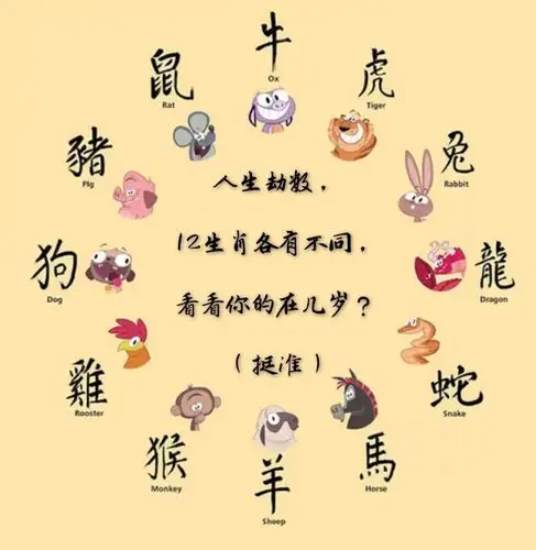 你的劫数在多少岁先知一日富贵十年