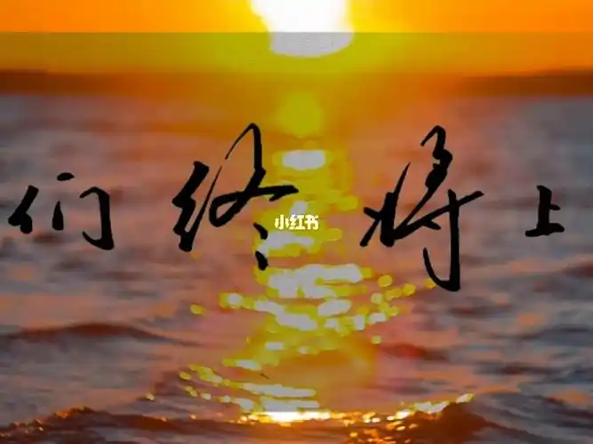 我们终将上岸阳光万里