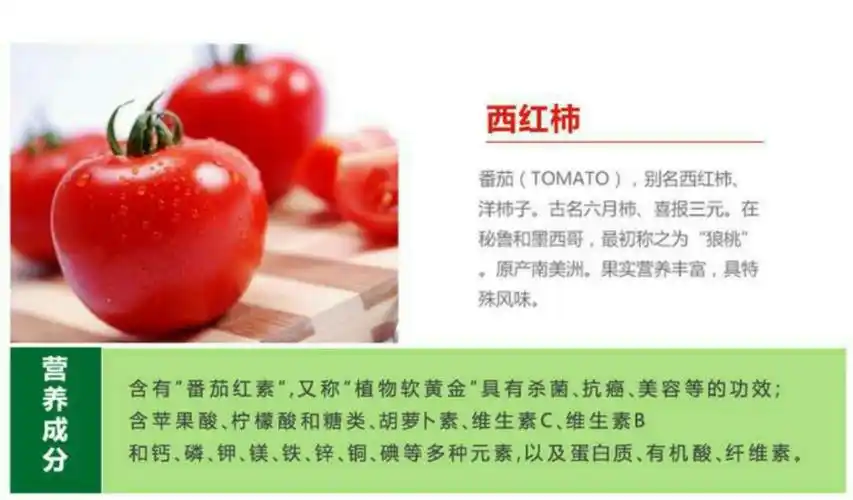 黄金籽西红柿~忆儿时味道