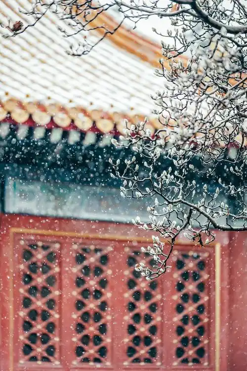 想来今天的故宫必是热闹非常,不过现在一般需要提前