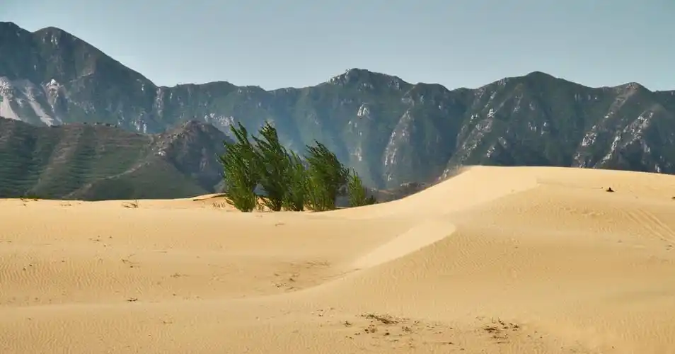 离京城最近的沙漠,怀来天漠