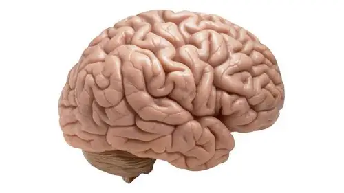 国家发育和功能人脑组织资源库-national human brain bank for