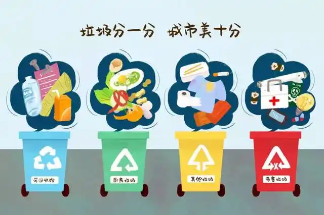 生活垃圾分类,四个垃圾桶都丢啥?市民关心的热点都在这儿