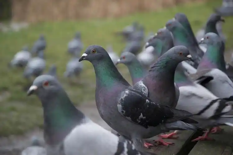 高清显示 最佳查看 查看原图 裁切2560x1600分辨率图片 裁切并查看